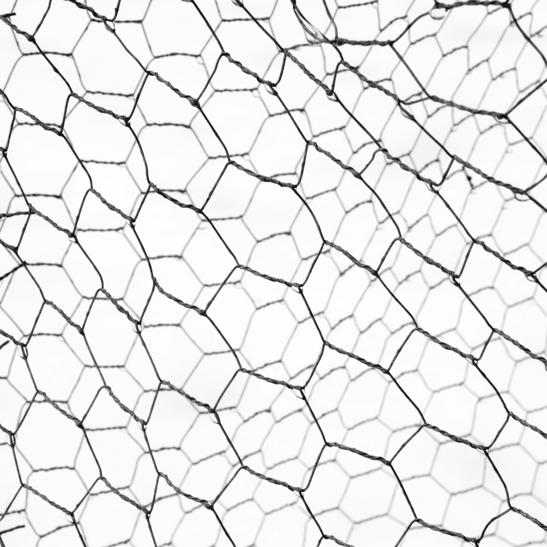 ارتفاع کاران خدمات نصب توری مرغی در تهران تجریش